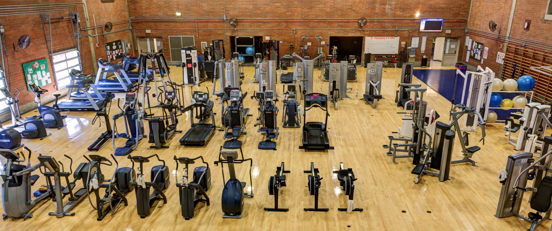 Lifestyle fitness gym discount equipment